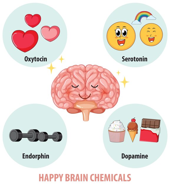 Discover 5 Effective Strategies to Naturally Elevate Your Serotonin Levels