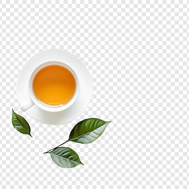 Exploring the Diverse Varieties of Green Tea