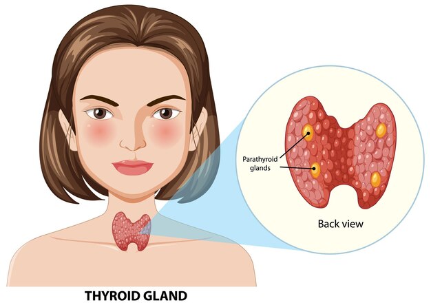 Knowledge: Your Primary Shield Against Parathyroid Issues