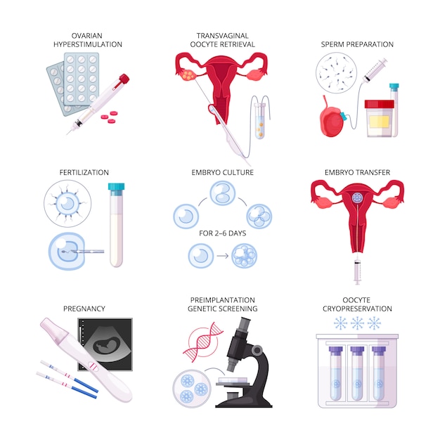 Prioritizing Excellence: A Closer Look at IVF Treatment Statistics