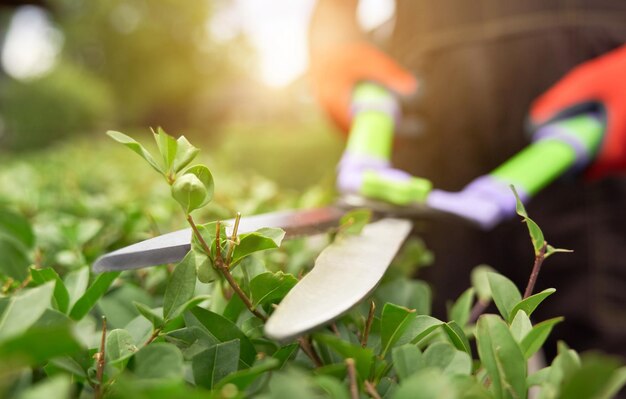 Revitalize Your Love with Winter Gardening Magic