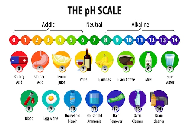 Unlocking the Radiance of Hydroxy Acids